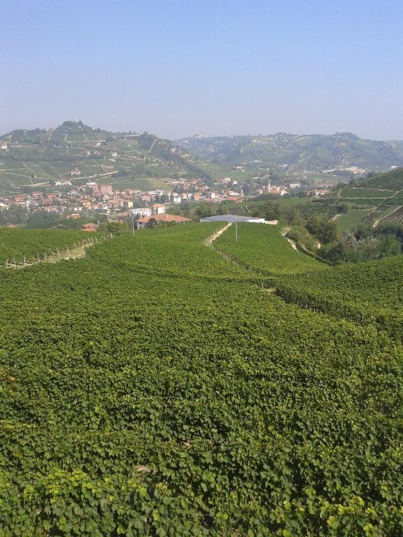 Agriturismo Ai Piacentini Santo Stefano Belbo Εξωτερικό φωτογραφία